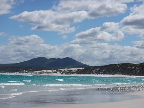 Hakea Walk Trail, East Fitzgerald National Park - Holiday Byron Bay 0