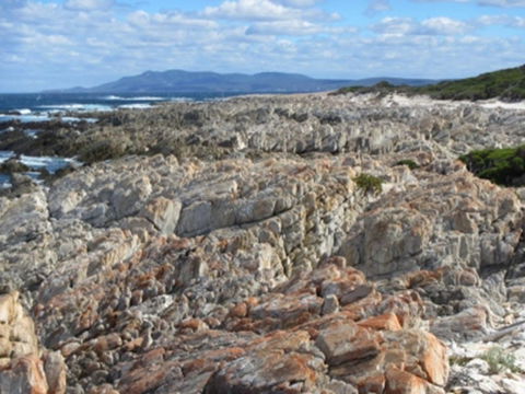 Hakea Walk Trail, East Fitzgerald National Park - Holiday Byron Bay 1