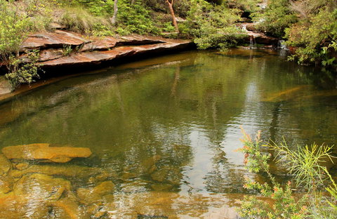Hominy Creek Walking Track - Holiday Byron Bay 0