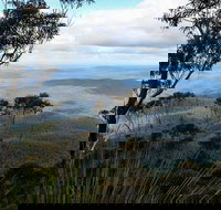 Mount Imlay National Park - Holiday Byron Bay