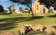 Queen Square, Moonta - thumb 0