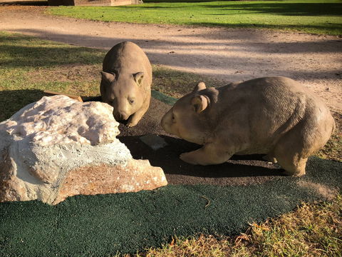 Queen Square, Moonta - Holiday Byron Bay 1