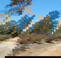 Werakata National Park - Holiday Byron Bay