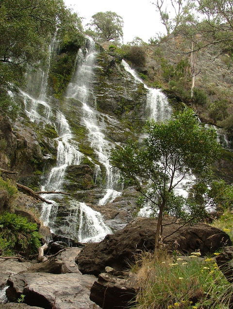 Buddong Falls Walking Track - Holiday Byron Bay 0