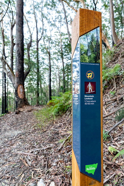 Bulahdelah Mountain Aboriginal Place - Holiday Byron Bay 0