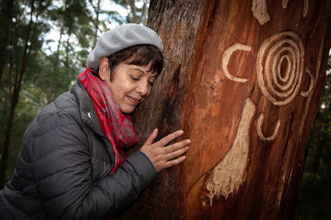Bulahdelah Mountain Aboriginal Place - Holiday Byron Bay 1