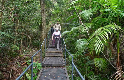 Falls Walking Track - Holiday Byron Bay 0