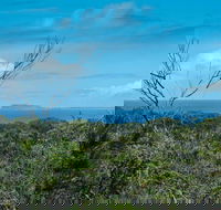 Forest Walking Track Crowdy Bay National Park - Holiday Byron Bay