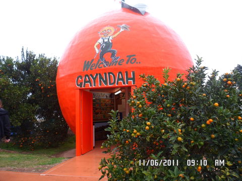 Gayndah's Big Orange - Holiday Byron Bay 2