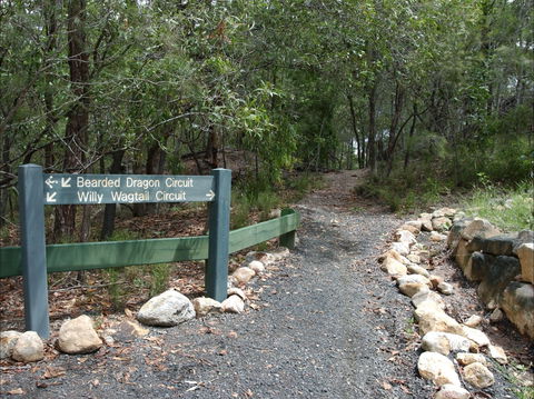 Haig Street Quarry Bushland Reserve Trails - Holiday Byron Bay 1