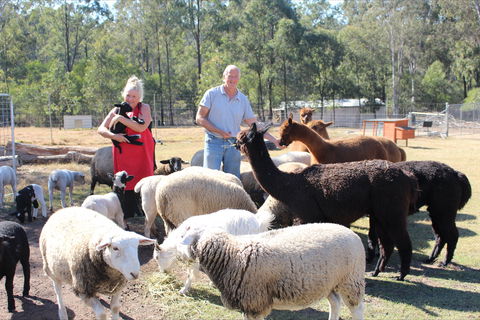 Haigslea EWE Nique Hobby Farm - Holiday Byron Bay 0