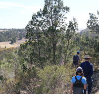 Kinchina Conservation Park - Holiday Byron Bay