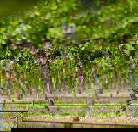 Murrumbateman - Holiday Byron Bay