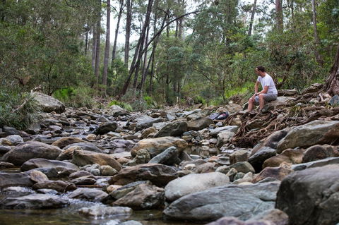 Rocksberg Park Heritage Reserve - Holiday Byron Bay 0