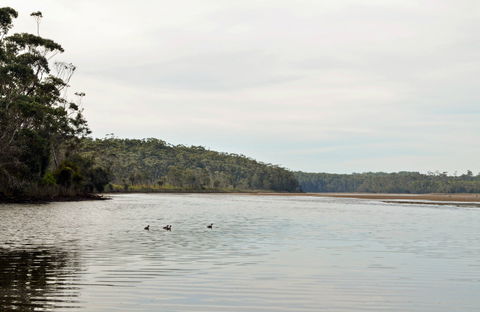Tabourie Lake - Holiday Byron Bay 0