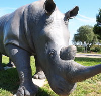 Tailem Bend Rhino Park and Dickson Reserve - Holiday Byron Bay