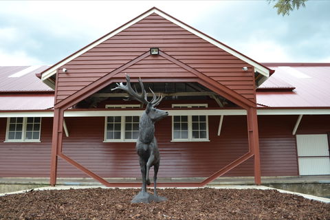 The Somerset Regional Art Gallery - The Condensery - Holiday Byron Bay 1