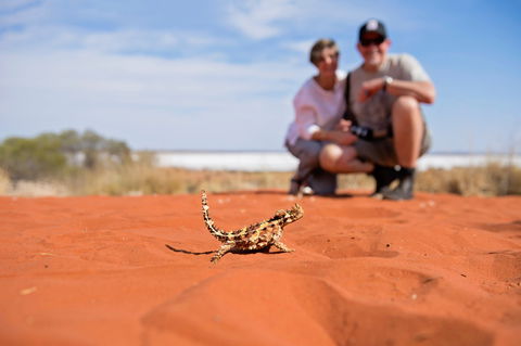 Tnorala (Gosse Bluff) Conservation Reserve - Holiday Byron Bay 2