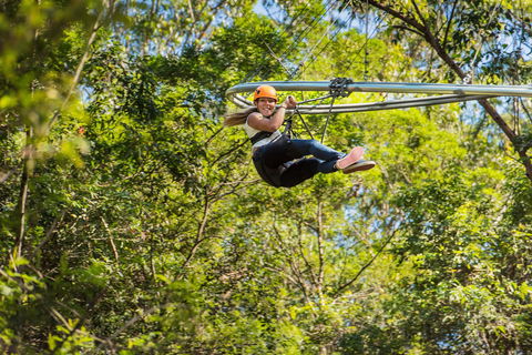 TreeTop Crazy Rider - Holiday Byron Bay 0