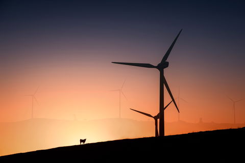 Woakwine Range Wind Farm Tourist Drive - Holiday Byron Bay 0