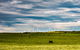Woakwine Range Wind Farm Tourist Drive - thumb 2