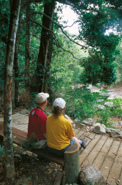 Cedar Creek Falls - Holiday Byron Bay 1