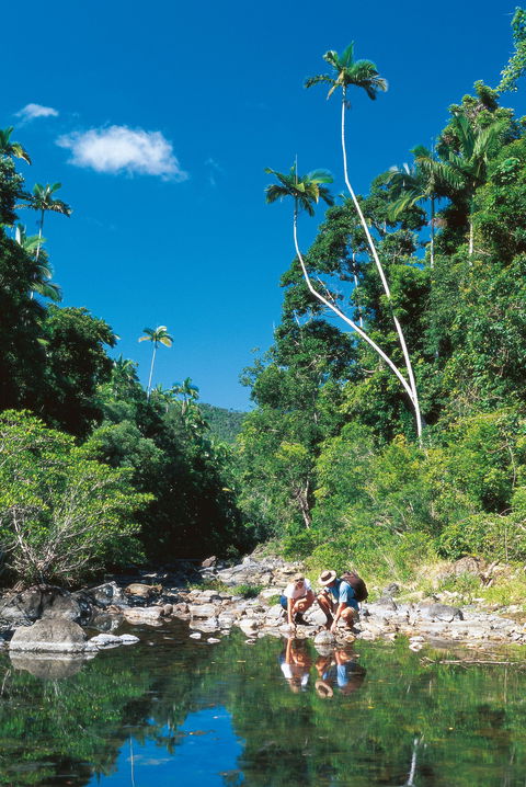 Cedar Creek Falls - Holiday Byron Bay 2