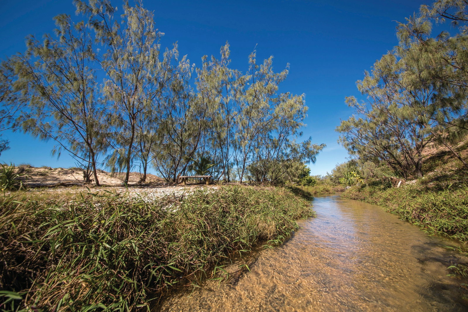 Farnborough QLD Holiday Byron Bay