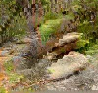 Mount Olive Trail