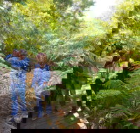 Endeavour Fern Gully Walks