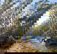Forest Drive Murrumbidgee Valley National Park - Holiday Byron Bay