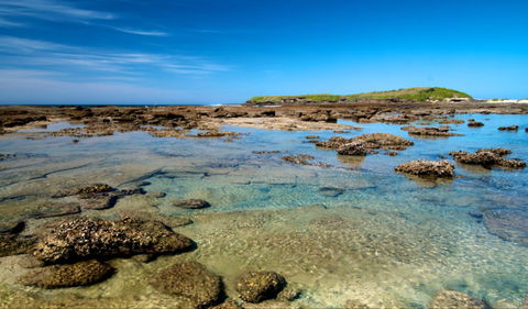 Moonee Beach Trail - Holiday Byron Bay 0
