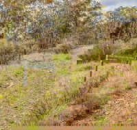 Old Mountain Road Walking Track