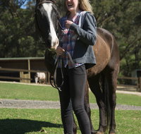Otford Farm Horse Riding
