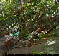 Palms picnic area - Holiday Byron Bay