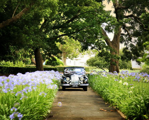 Queens Park, Toowoomba - Holiday Byron Bay 2