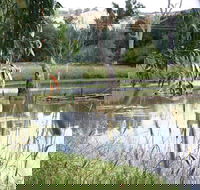 Tumut Wetlands