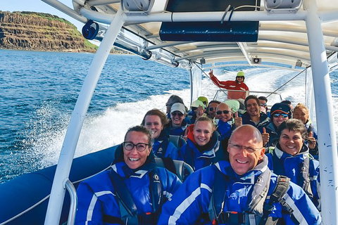 Premier Whale Watching Byron Bay - Holiday Byron Bay 1