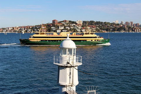 Half Day Manly Beach And More - Holiday Byron Bay 7