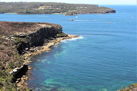 Half Day Manly Beach And More - Holiday Byron Bay 9