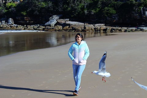 Half Day Manly Beach And More - Holiday Byron Bay 6
