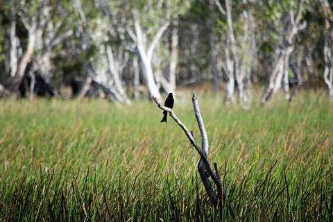 ETHICAL ADVENTURES - Dry Season Litchfield Region, Max 10 Guests - Holiday Byron Bay 2