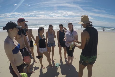 Half Day Dolphin Kayaking And Snorkeling Tour - Holiday Byron Bay 6