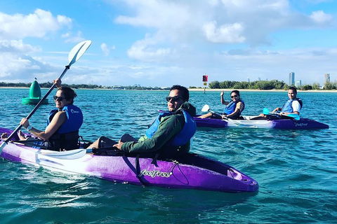 Half Day Dolphin Kayaking And Snorkeling Tour - Holiday Byron Bay 5