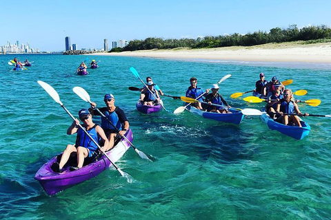 Half Day Dolphin Kayaking And Snorkeling Tour - Holiday Byron Bay 11