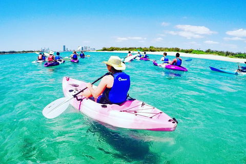 Half Day Dolphin Kayaking And Snorkeling Tour - Holiday Byron Bay 0