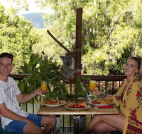 Hartley's Crocodile Adventures Entry Ticket and Breakfast with the Koalas