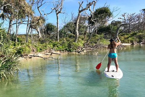 Early Morning Weekend Paddleboard Special - Holiday Byron Bay 5
