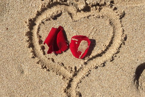 Elope In Paradise - Weddings At Mission Beach - Holiday Byron Bay 3