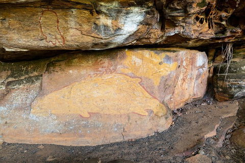 Half Day Aboriginal Rock Art Experience In Queensland - Holiday Byron Bay 3